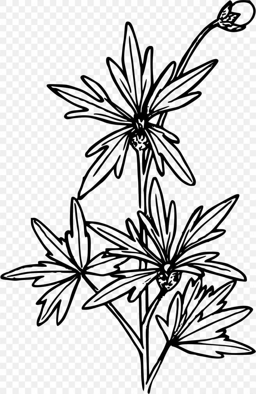Line Art Drawing Clip Art, PNG, 1561x2400px, Line Art, Artwork, Black And White, Branch, Drawing Download Free