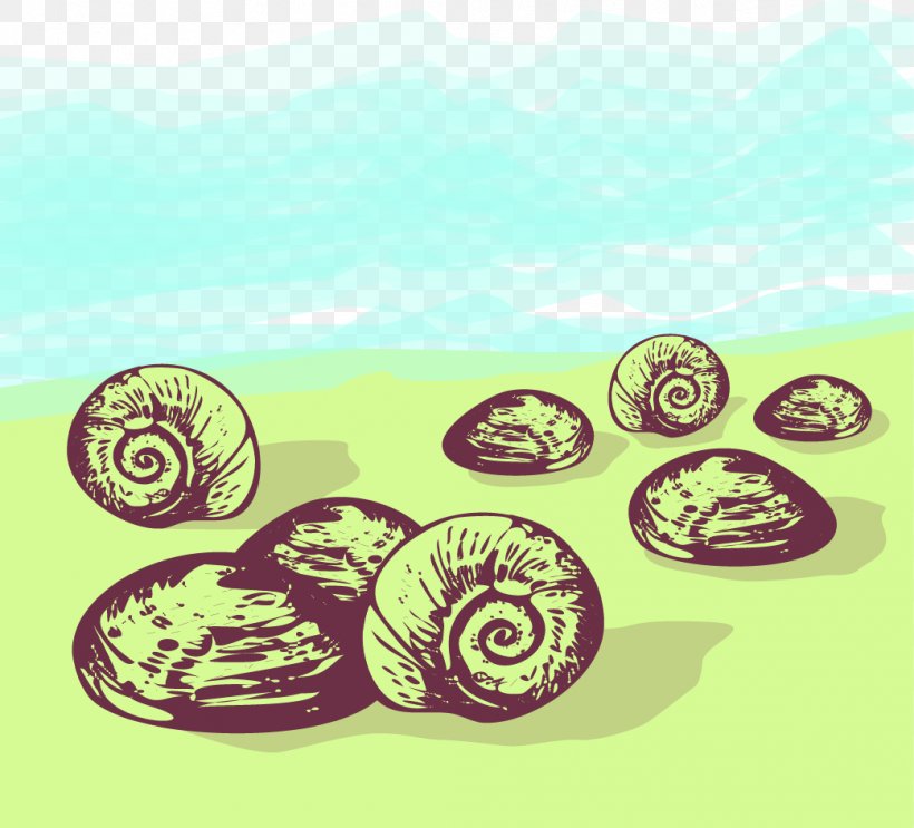 Sea Snail Euclidean Vector, PNG, 1042x945px, Sea Snail, Conch, Lobatus Gigas, Nautilida, Organism Download Free