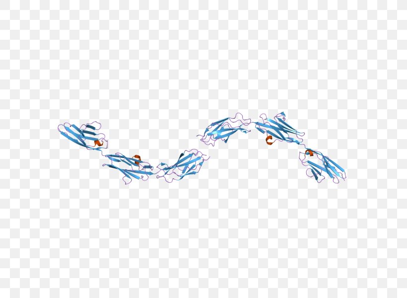 Titin Protein Family Gene Pfam, PNG, 800x600px, Titin, Blue, Body Jewelry, Chromosome, Crystal Structure Download Free