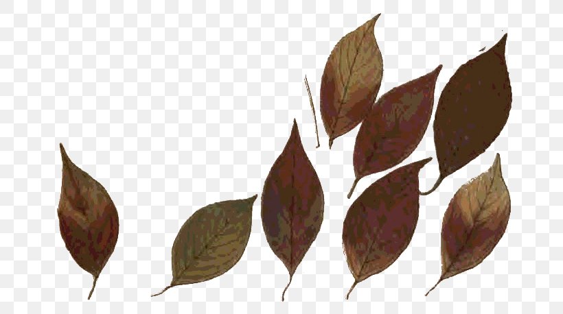 Twig Autumn Leaf Color Printing, PNG, 690x458px, Twig, Autumn Leaf Color, Autumn Leaves, Branch, Leaf Download Free