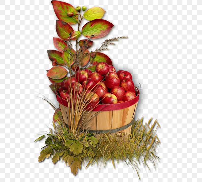 Apple Autumn Clip Art, PNG, 546x737px, Apple, Auglis, Autumn, Data, Diet Food Download Free