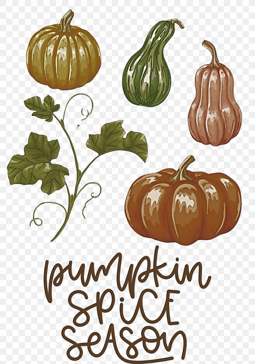 Autumn Pumpkin Spice Season Pumpkin, PNG, 2101x3000px, Autumn, Drawing, Pumpkin, Pumpkin Leaves, Royaltyfree Download Free