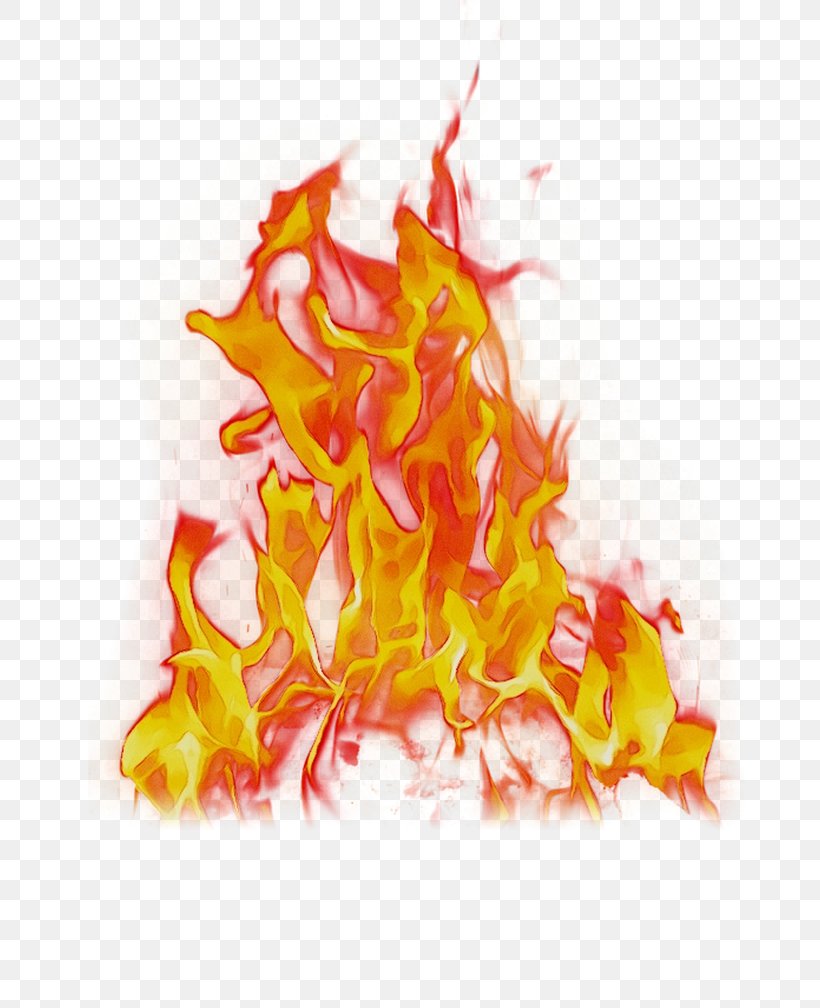 Flame Cartoon, PNG, 776x1008px, Flame, Bonfire, Fire, Orange, Yellow Download Free