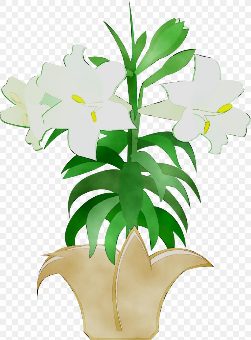 Floral Design Cut Flowers Plant Stem Leaf, PNG, 1320x1788px, Floral Design, Alismatales, Arum Family, Botany, Cut Flowers Download Free