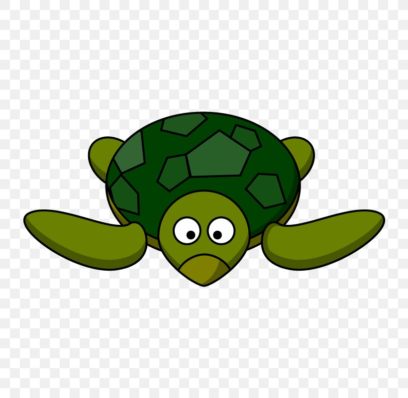 Turtle Animation Cartoon Clip Art, PNG, 800x800px, Turtle, Animation, Cartoon, Drawing, Fictional Character Download Free