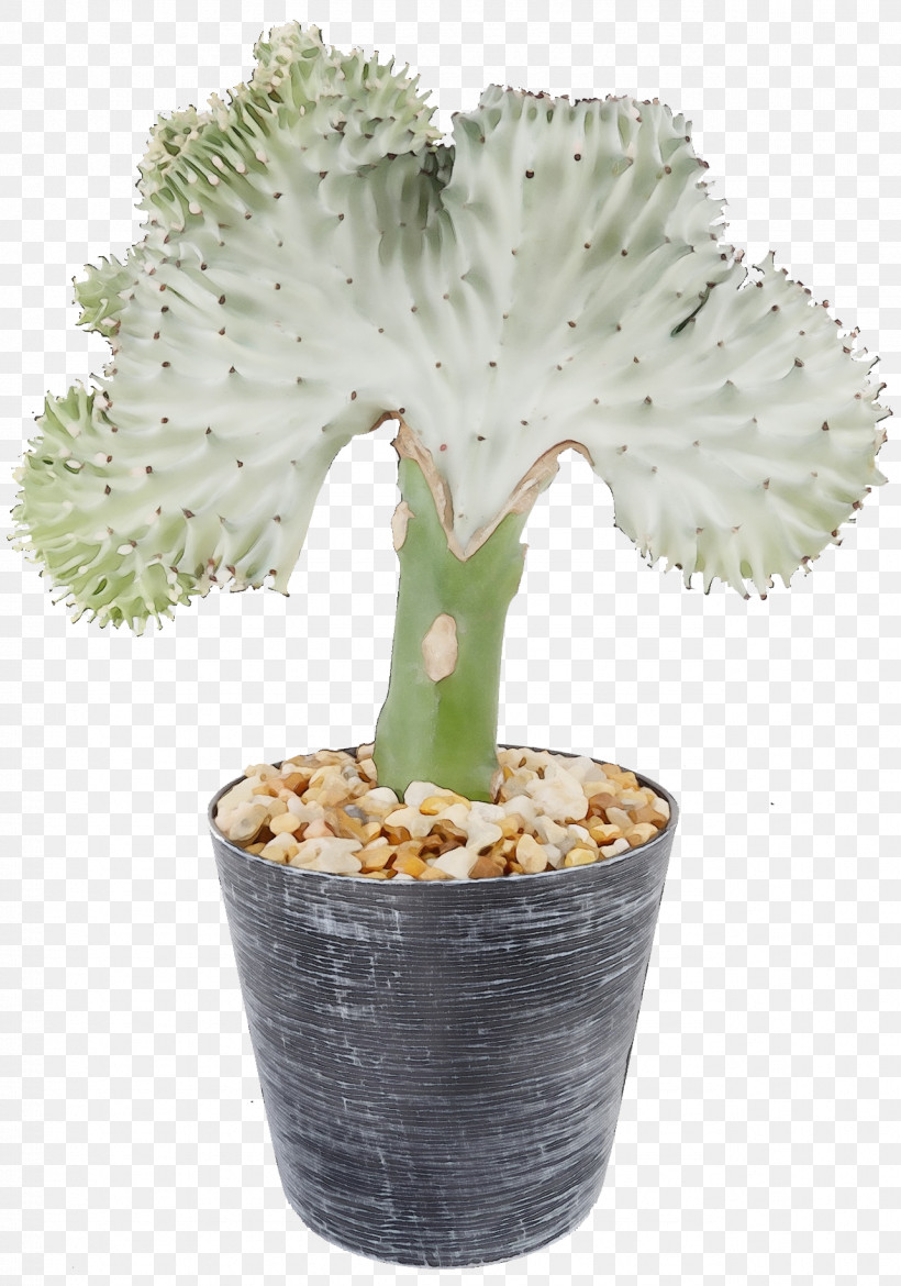 Cactus, PNG, 1284x1833px, Watercolor, Cactus, Flower, Flowerpot, Hedgehog Cactus Download Free