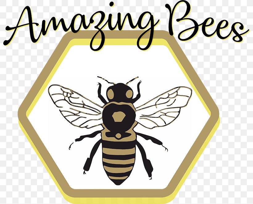 Honey Bee Brand Clip Art, PNG, 800x661px, Honey Bee, Arthropod, Bee, Brand, Honey Download Free