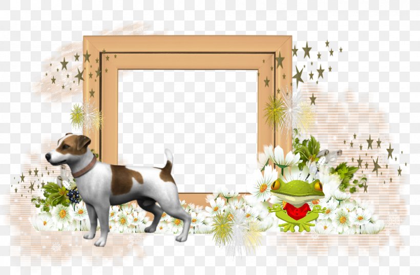 Puppy Dog Breed Jack Russell Terrier Golden Retriever Picture Frames, PNG, 1000x655px, Puppy, Adobe Systems, Bed Bath Beyond, Breed, Carnivoran Download Free