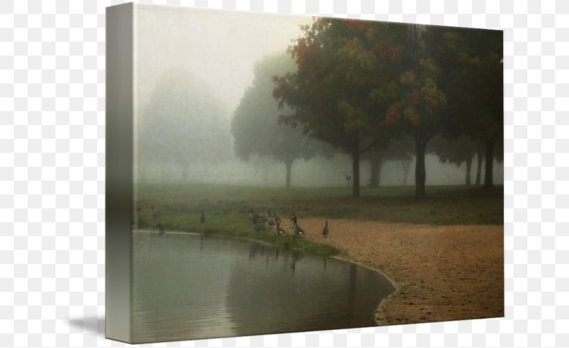 Water Resources Stock Photography Picture Frames Tree, PNG, 650x501px, Water Resources, Fog, Grass, Landscape, Mist Download Free