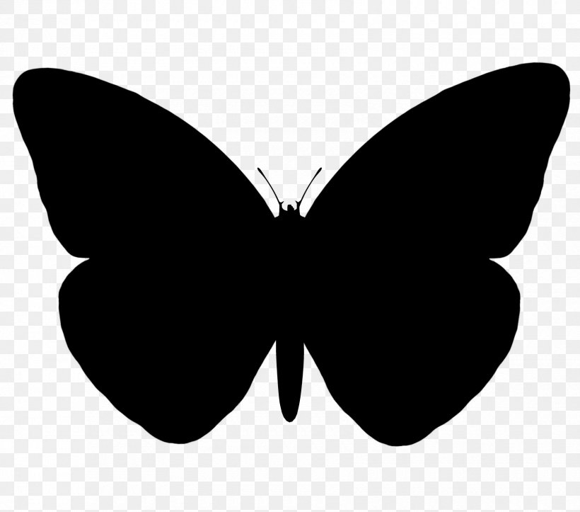 Butterfly Vector Graphics Silhouette Image, PNG, 1700x1500px, Butterfly, Black, Blackandwhite, Borboleta, Brushfooted Butterfly Download Free