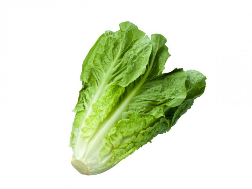 Celtuce Organic Food Romaine Lettuce Caesar Salad Leaf Vegetable, PNG, 1200x900px, Celtuce, Bell Pepper, Cabbage, Caesar Salad, Chard Download Free