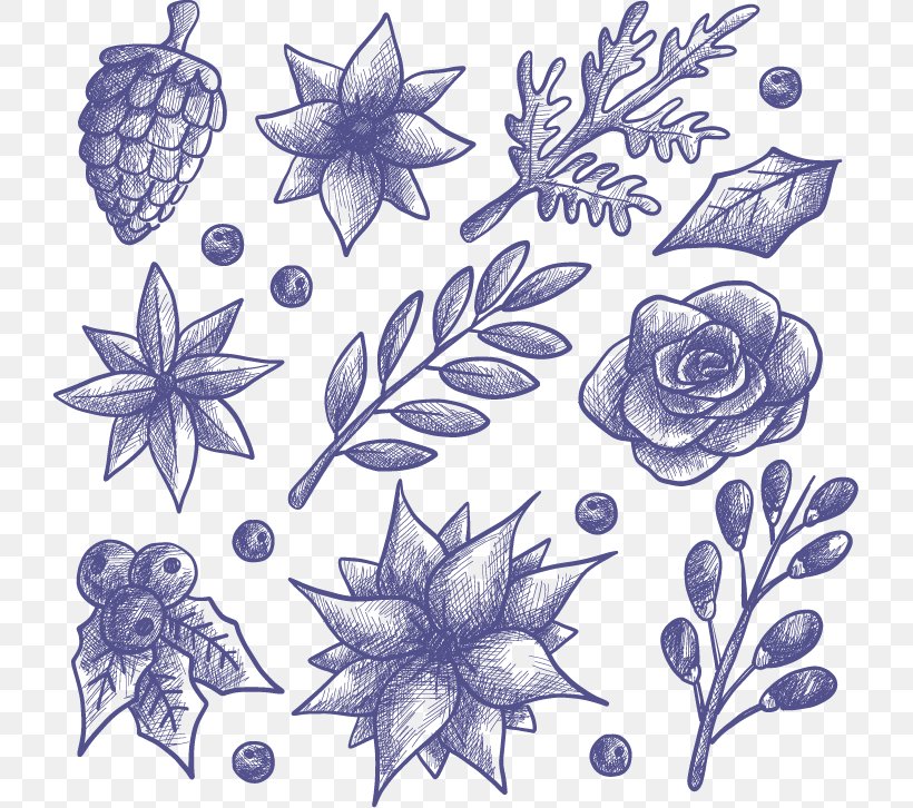 Euclidean Vector Drawing Flower Mistletoe Winter, PNG, 723x726px, Drawing, Art, Blue, Branch, Cobalt Blue Download Free