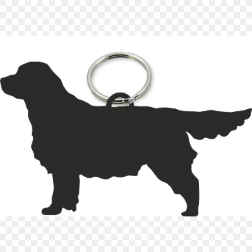 Labrador Retriever Dog Breed Puppy Leash, PNG, 1000x1000px, Labrador Retriever, Animal, Canidae, Carnivora, Carnivoran Download Free