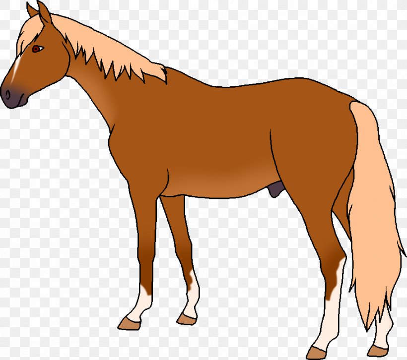 Mule Foal Stallion Pony Colt, PNG, 908x805px, Mule, Bridle, Colt, Fauna, Foal Download Free