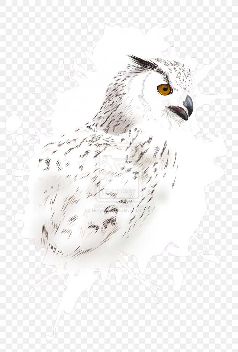 Owl Drawing Hawk /m/02csf Beak, PNG, 1024x1511px, Owl, Beak, Bird, Bird Of Prey, Drawing Download Free