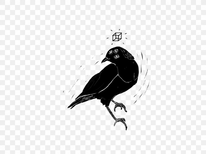 American Crow Drawing Illustration Ink Vector Graphics, PNG, 1200x900px, American Crow, Beak, Behance, Bird, Black Download Free