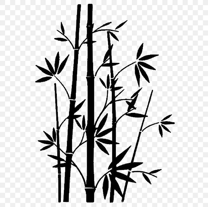 Bambou Paper Drawing Bamboo Image, PNG, 600x816px, Bambou, Art, Bamboo, Black And White, Branch Download Free