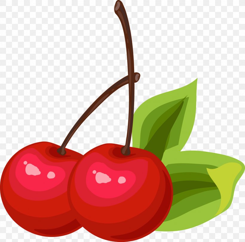 Cherry Euclidean Vector Clip Art, PNG, 2466x2437px, Cherry, Apple, Cerasus, Drawing, Food Download Free