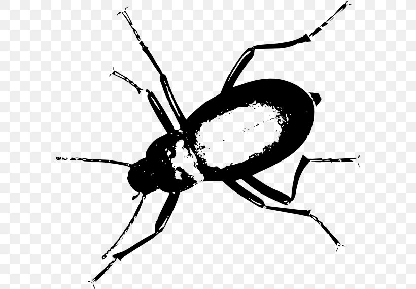 Clip Art, PNG, 600x569px, Darkling Beetle, Arthropod, Beetle, Black And White, Drawing Download Free