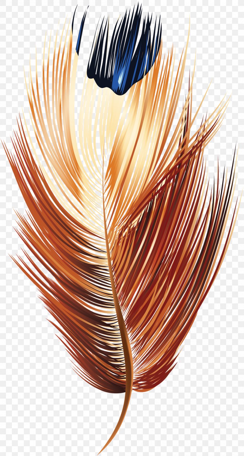 Feather Symbol, PNG, 1000x1870px, Feather, Arc, Cartoon, Circuit Diagram, Copper Download Free
