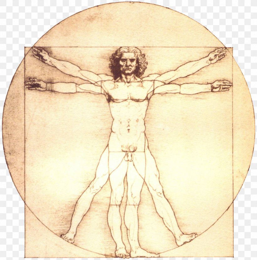 Vitruvian Man Renaissance Portrait Of A Man In Red Chalk Painting Drawing, PNG, 1317x1333px, Vitruvian Man, Arm, Art, Artist, Artwork Download Free