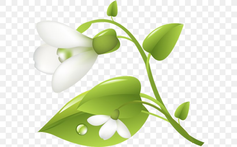 Alternative Health Services Product Design Leaf Plant Stem Medicine, PNG, 600x509px, Alternative Health Services, Flora, Flower, Leaf, Medicine Download Free