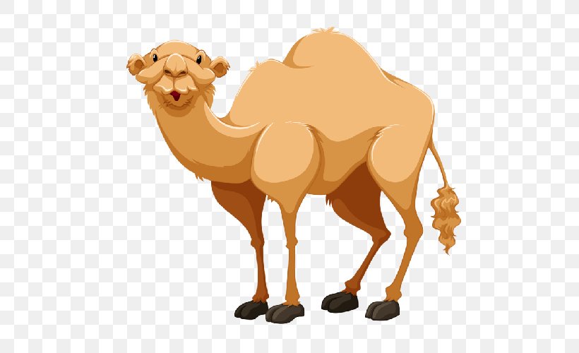 Clip Art Bactrian Camel Dromedary Openclipart, PNG, 500x500px, Bactrian Camel, Arabian Camel, Camel, Camel Like Mammal, Dromedary Download Free