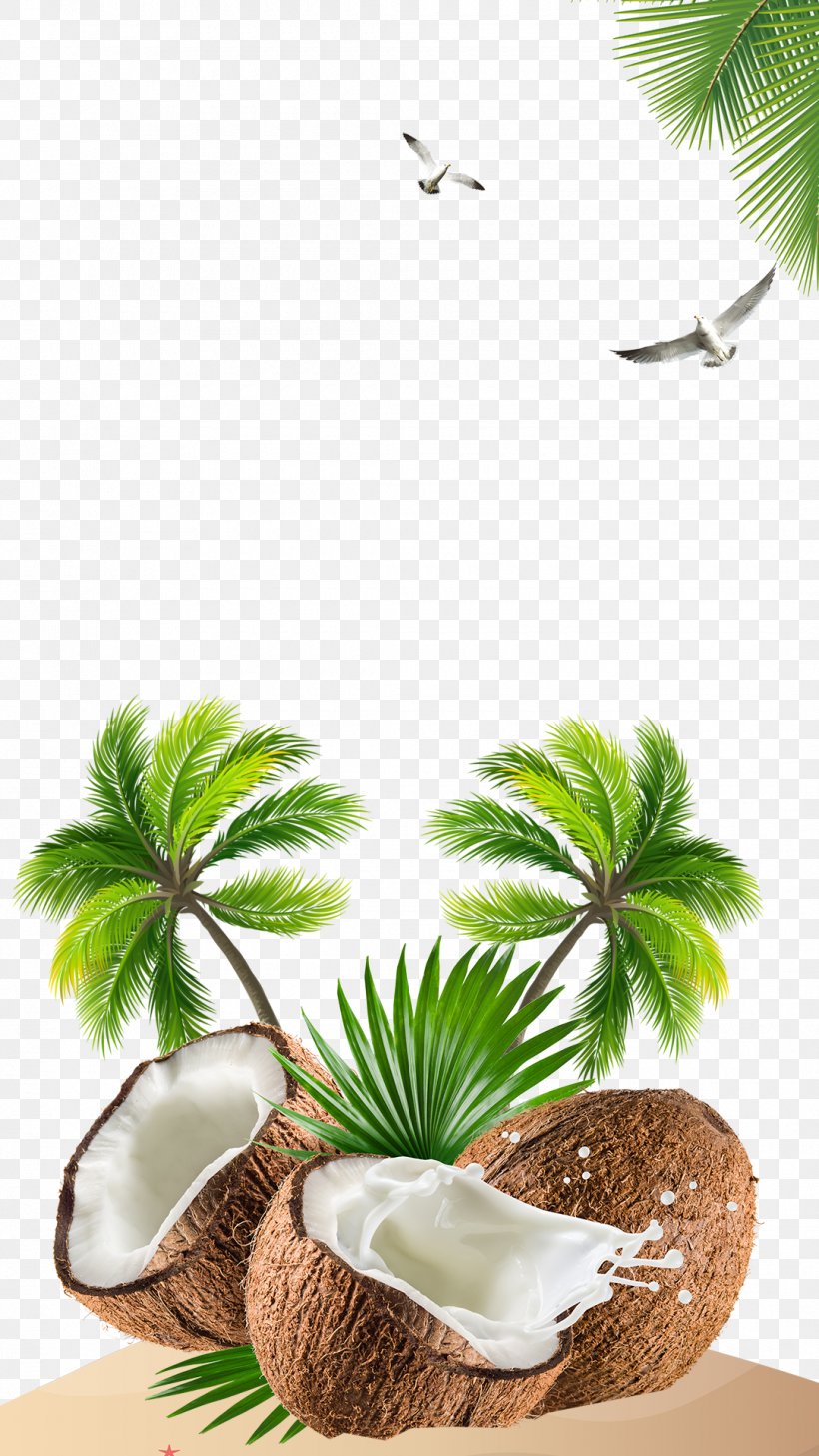 Kefir Coconut Water Coconut Milk, PNG, 1080x1920px, Kefir, Arecaceae, Coconut, Coconut Cream, Coconut Milk Download Free