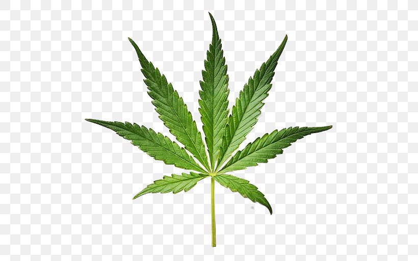 Legality Of Cannabis Medical Cannabis Cannabis Smoking Legalization, PNG, 512x512px, Cannabis, Cannabis In India, Cannabis Smoking, Drug, Effects Of Cannabis Download Free