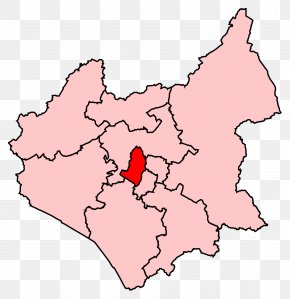 Leicester - Leicester South By-election, 2011 Leicester West Leicester East PNG