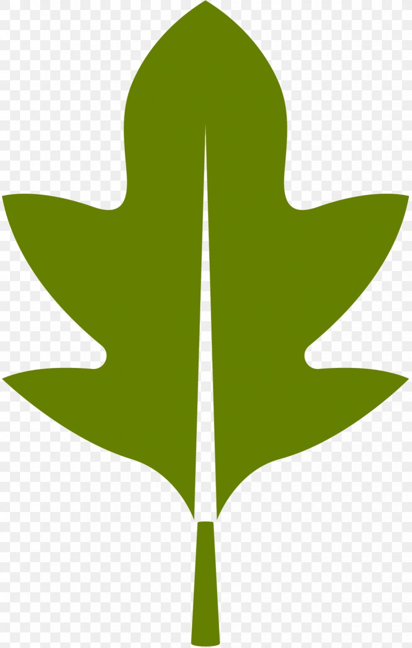 Clip Art Leaf Plant Stem Line Tree, PNG, 1237x1948px, Leaf, Green, Plane, Plant, Plant Stem Download Free