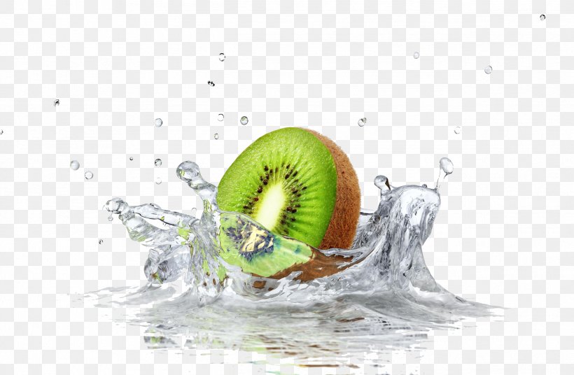 Fruit Salad Kiwifruit Food Orange, PNG, 2533x1656px, Fruit Salad, Apple, Berry, Food, Fruit Download Free