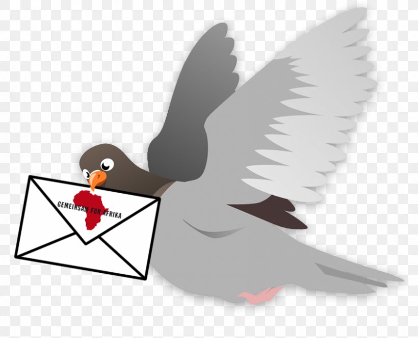 Homing Pigeon Flight Release Dove Clip Art, PNG, 845x684px, Homing Pigeon, Beak, Bird, Bird Flight, Columbidae Download Free