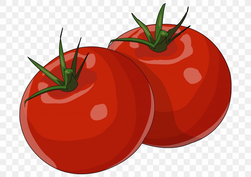 Plum Tomato Bush Tomato Food Gofio, PNG, 3508x2480px, Plum Tomato, Apple, Bush Tomato, Canarian Wrinkly Potatoes, Cereal Download Free