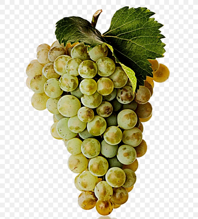 Sultana Red Wine Graciano Trebbiano, PNG, 768x908px, Sultana, Amazon Grape, Common Grape Vine, Food, Fruit Download Free