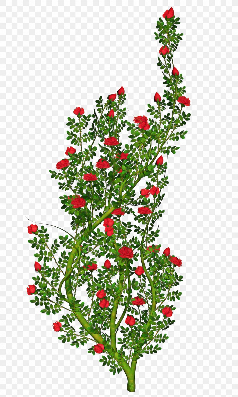 Tree Branch Silhouette, PNG, 1800x3000px, Rose, Branch, Cut Flowers, Drawing, Flower Download Free