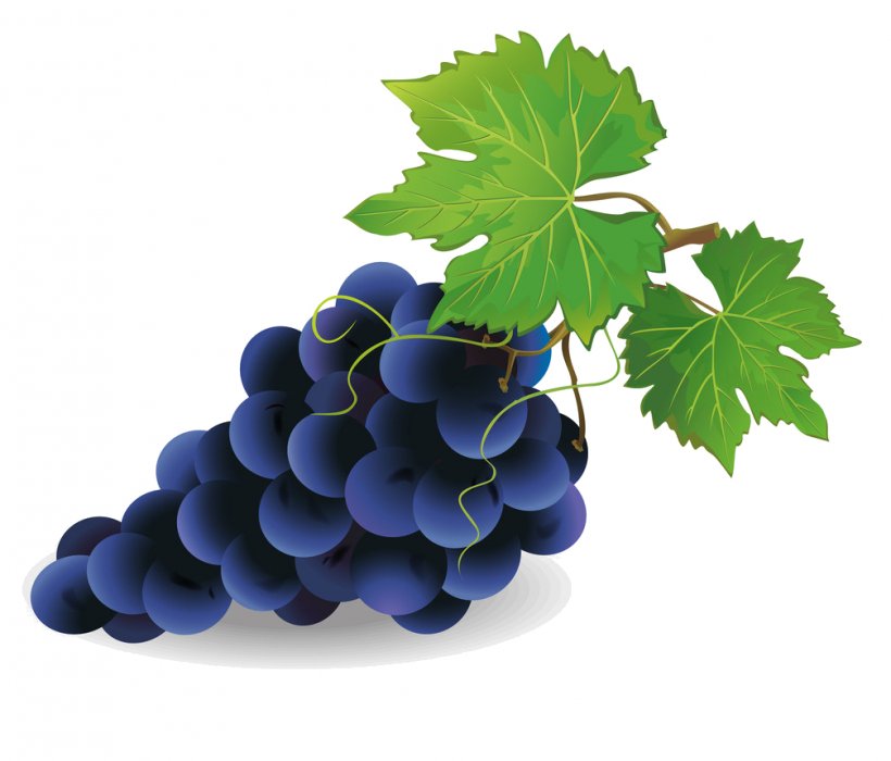 Common Grape Vine Grape Pie Wine Clip Art, PNG, 1006x860px, Common Grape Vine, Bilberry, Drawing, Food, Fruit Download Free