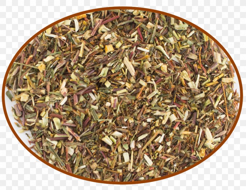 Green Tea Hōjicha Mate Nilgiri Tea, PNG, 1000x772px, Tea, Caffeine, Cyclopia, Darjeeling Tea, Dianhong Download Free