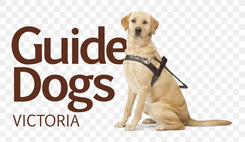 Guide Dogs Victoria Pet Insurance, PNG, 1600x932px, Dog, Brand, Carnivoran, Companion Dog, Dog Bite Download Free