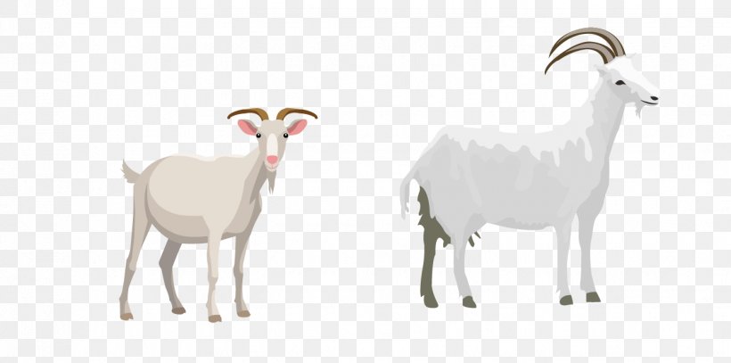 Sheep Goat Cattle Illustration, PNG, 1338x665px, Sheep, Camel Like Mammal, Cartoon, Cattle, Cattle Like Mammal Download Free