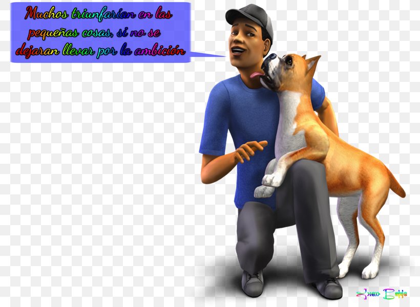The Sims 4 The Sims 2: Pets Dog Breed, PNG, 800x600px, Sims 4, Aggression, Animal, Carnivoran, Cat Download Free