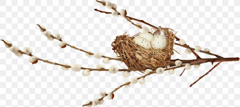 Willow Palm Sunday Easter Clip Art, PNG, 1280x571px, Willow, Bird, Bird Nest, Branch, Computer Download Free