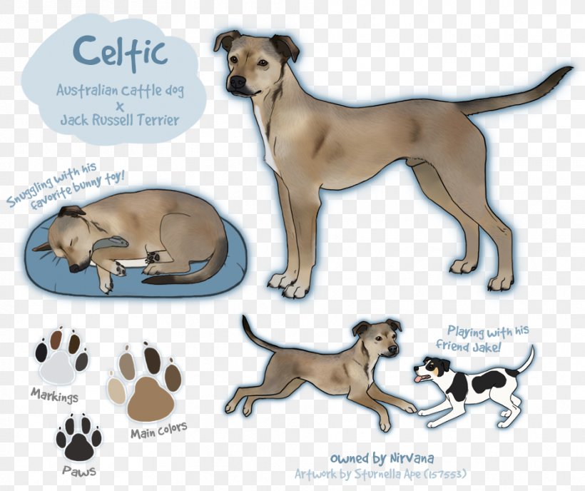 Dog Breed Puppy Cat Leash, PNG, 936x786px, Dog Breed, Breed, Carnivoran, Cartoon, Cat Download Free