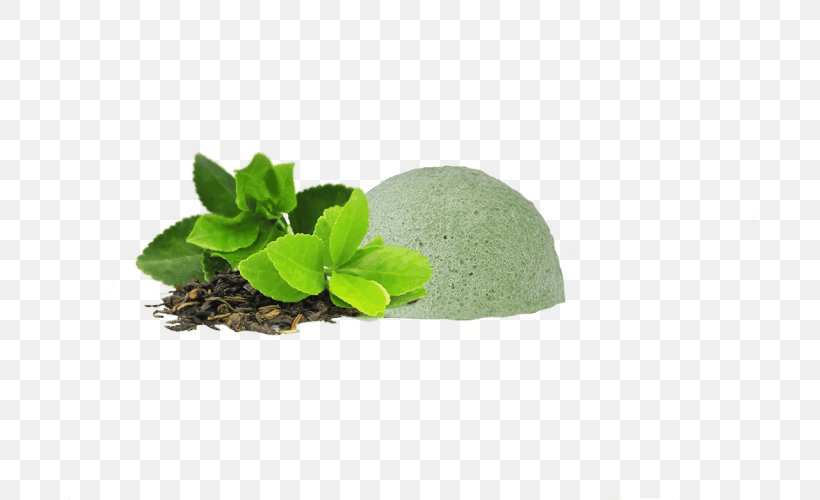 Green Tea Unilever Lipton Variety Pack Amino Acid Dietary Supplement, PNG, 808x500px, Tea, Amino Acid, Dietary Supplement, Drink, Flowerpot Download Free
