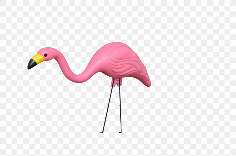 Plastic Flamingo Lawn Ornaments & Garden Sculptures Clip Art, PNG, 4928x3264px, Plastic Flamingo, Beak, Bird, Crane Like Bird, Don Featherstone Download Free