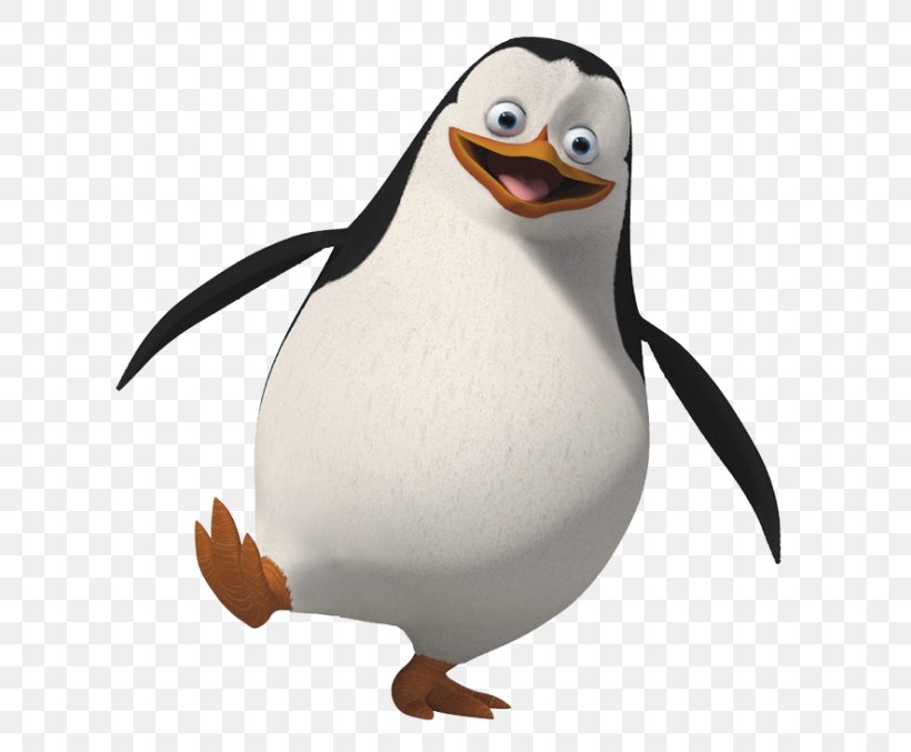 Rico Skipper Penguin Kowalski Madagascar, PNG, 700x677px, Rico, Beak, Bird, Dreamworks Animation, Flightless Bird Download Free