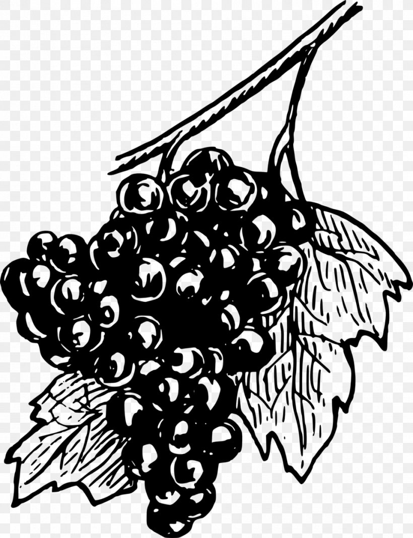 Common Grape Vine Wine Drawing Clip Art, PNG, 958x1249px, Common Grape Vine, Art, Artwork, Black, Black And White Download Free