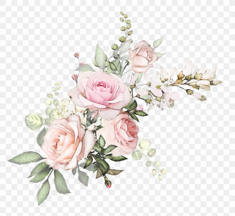 Garden Roses, PNG, 3500x3208px, Flower, Bouquet, Cut Flowers, Garden Roses, Pink Download Free