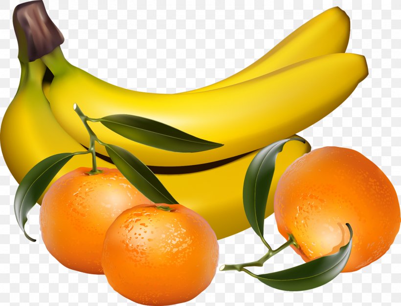 Tropical Fruit Clip Art, PNG, 1500x1148px, Fruit, Banana, Banana Family, Citrus, Clementine Download Free