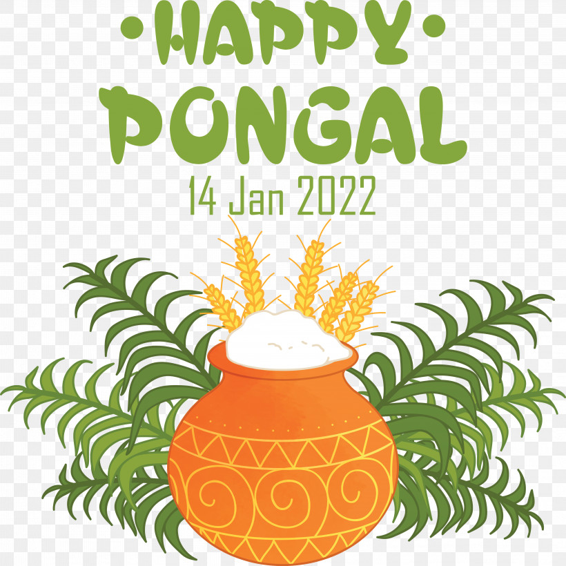 Makar Sankranti, PNG, 4167x4171px, Pongal, Bhogi, Drawing, Festival, Harvest Festival Download Free